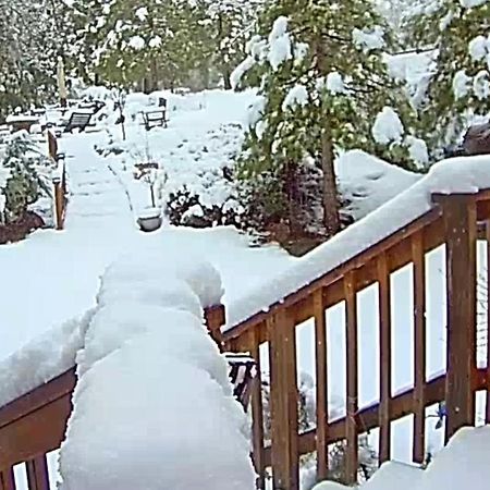 הוילה אוקהורסט Yosemite Mountain Retreat מראה חיצוני תמונה