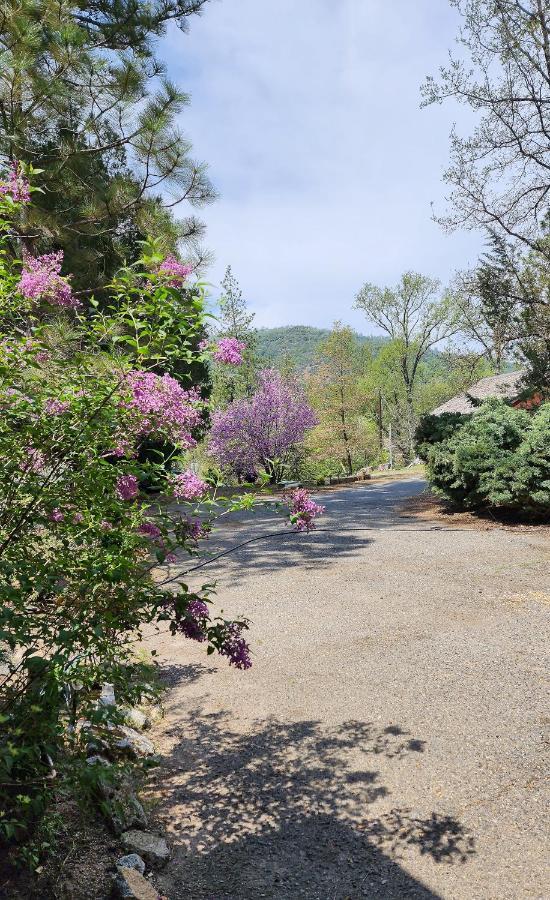 הוילה אוקהורסט Yosemite Mountain Retreat מראה חיצוני תמונה