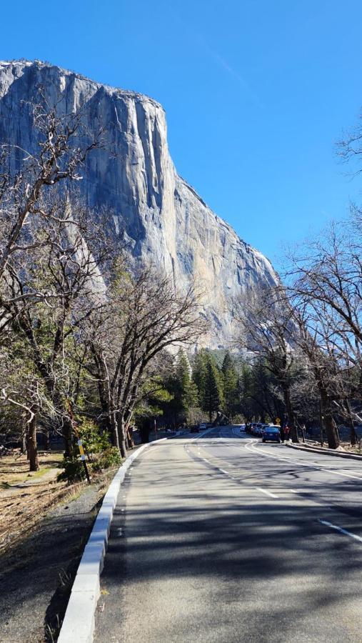 הוילה אוקהורסט Yosemite Mountain Retreat מראה חיצוני תמונה