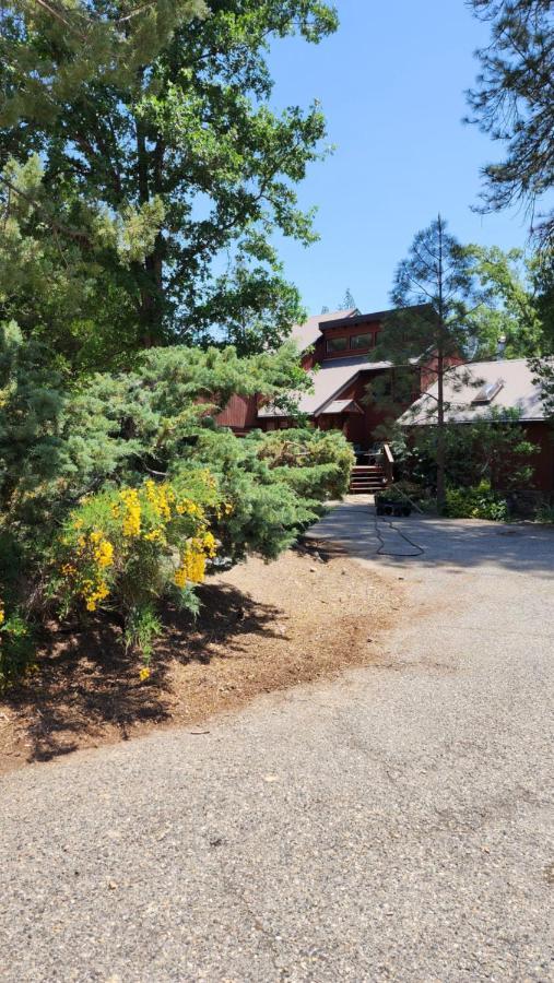 הוילה אוקהורסט Yosemite Mountain Retreat מראה חיצוני תמונה